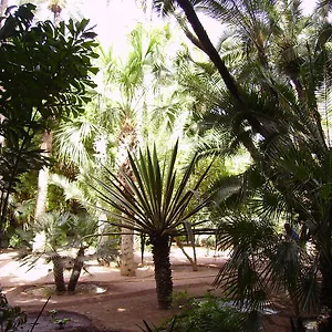 Appart Avec Vue Jardin/majorelle , Marrakesh Maroc